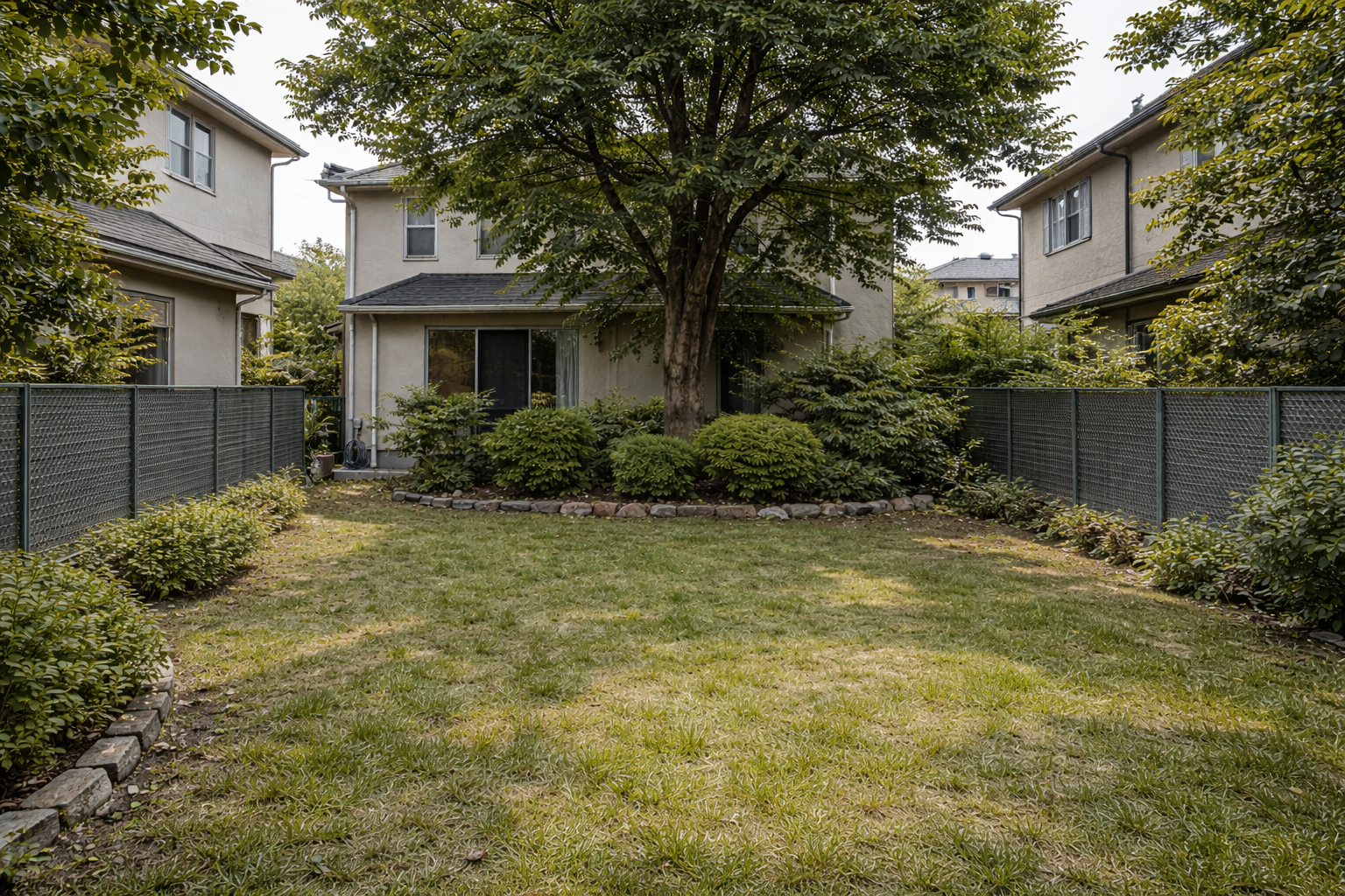 伐採 Before｜大きくなり過ぎた庭木の状態